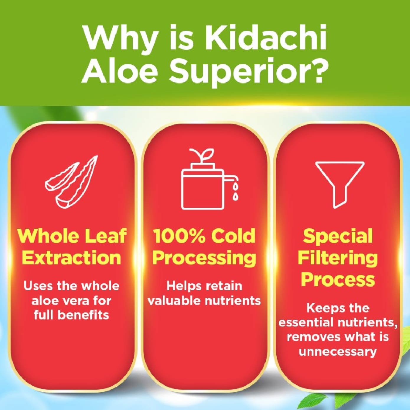 Kidachi Detox Supplement softgel (Probiotics for Digestion & Detox Cleanse for Bloating Gastric Constipation Burping Heartburn & Stomach Discomfort) 180s