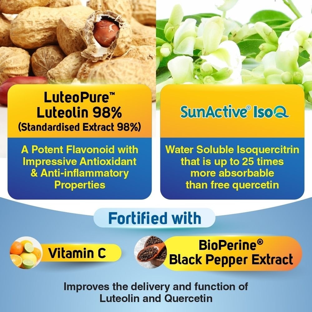 URICRestore Luteolin & Quercetin Veggie Capsule (Healthy Uric Acid Level and Gout Joint Kidney Support) 60s