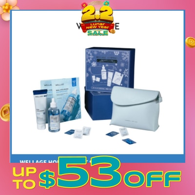 WELLAGE Holiday Gift Set 1s
