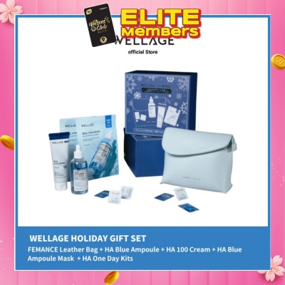 WELLAGE Holiday Gift Set 1s