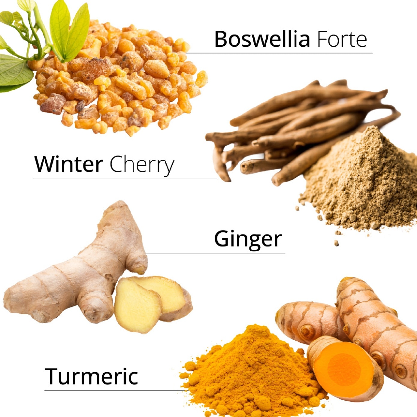 Boswellia & Ginger Complex Capsule (To Support Healthy Joints, General Body & Muscle Aches) 60s