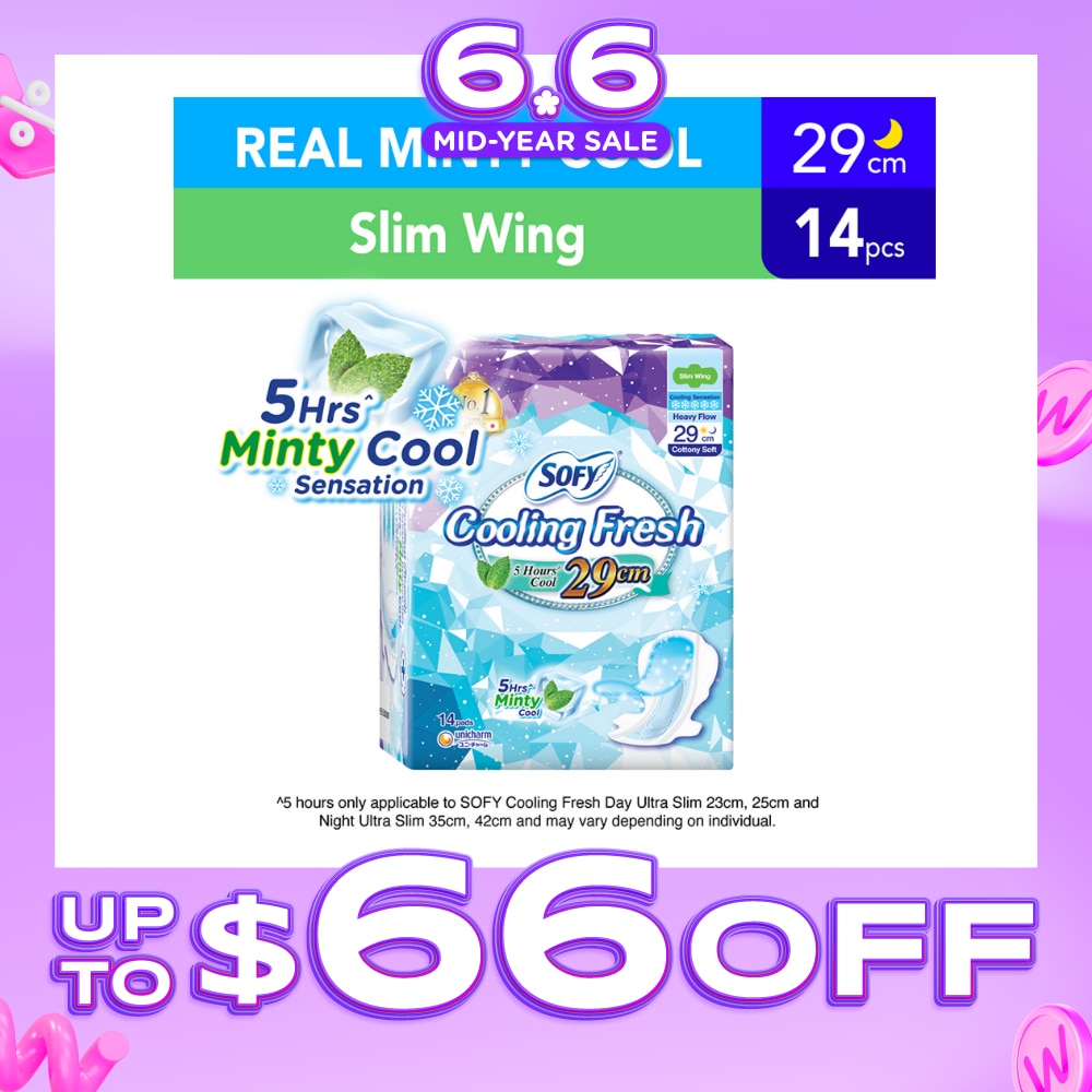 Cooling Fresh Night Slim Wing 29cm 14s