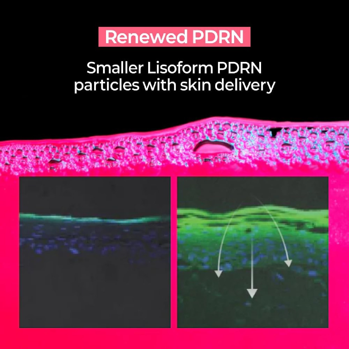 PDRN+ Energy Boost Pad 70s image
