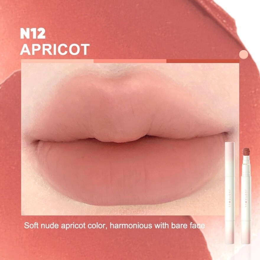 Matte Lip Cream N12 1s
