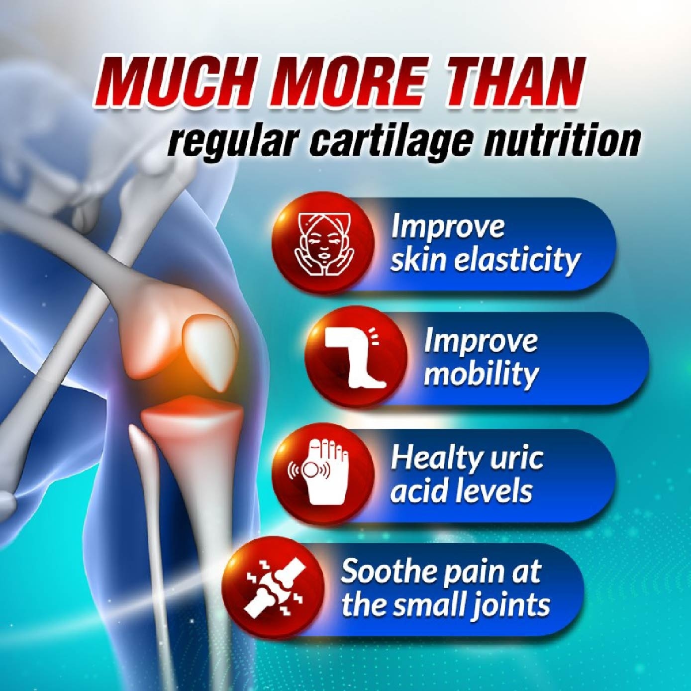 SCP Cartilage Sensei Chondriotin + Type II Collagen Tablet (Cartilage Small Joint & Uric Acid Support) 240s