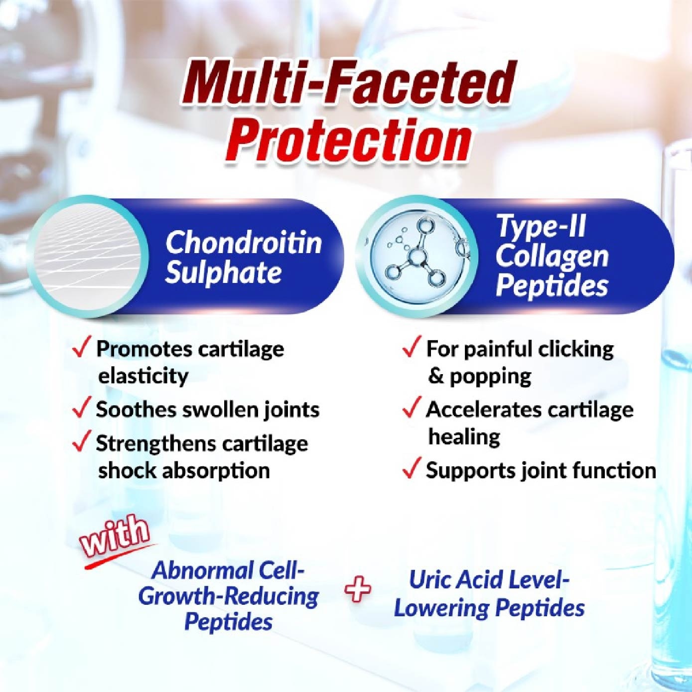 SCP Cartilage Sensei Chondriotin + Type II Collagen Tablet (Cartilage Small Joint & Uric Acid Support) 240s