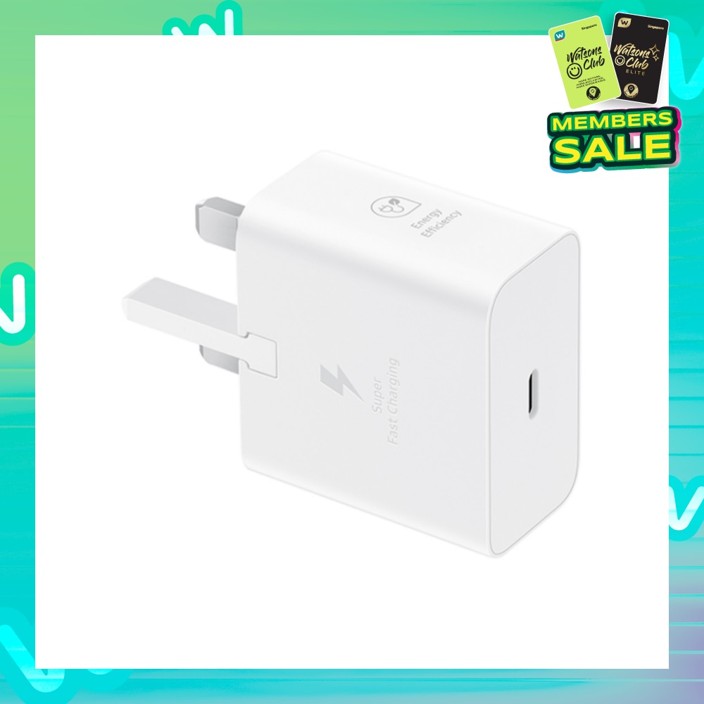 25W Adapter Without Cable White 1s