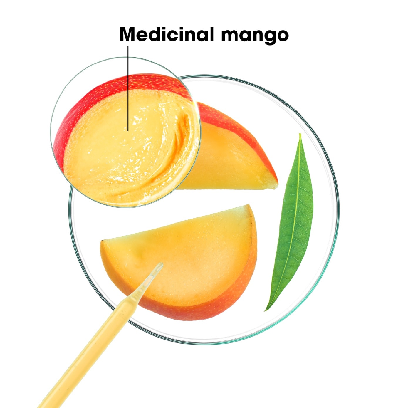 Mango Nourishing + Replenishing Shampoo 100ml