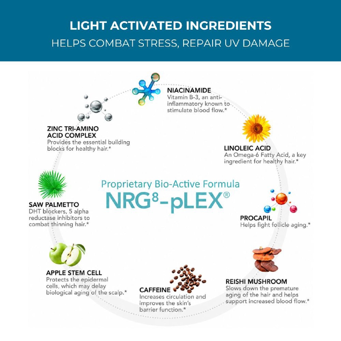 Acceler8® Booster + Nutrients 118ml image
