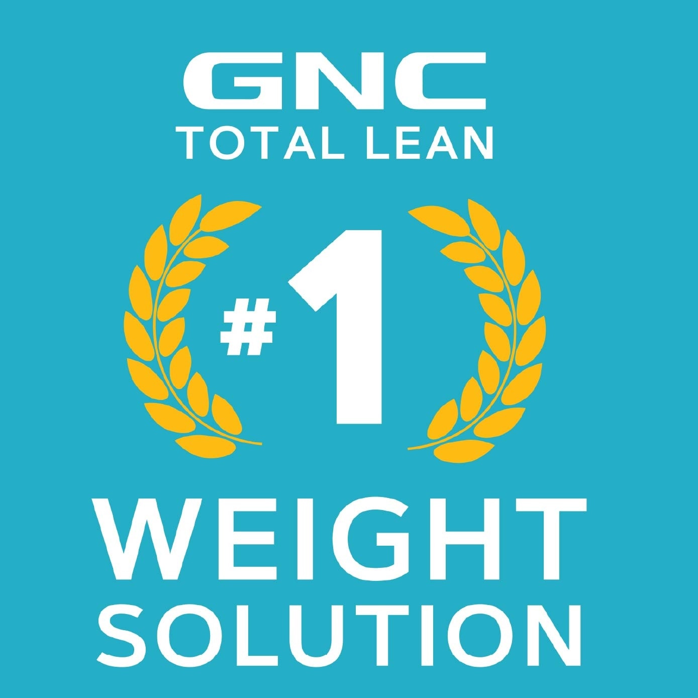 Total Lean® Bar Protein Snack Bar Peanut Butter Pie 44g