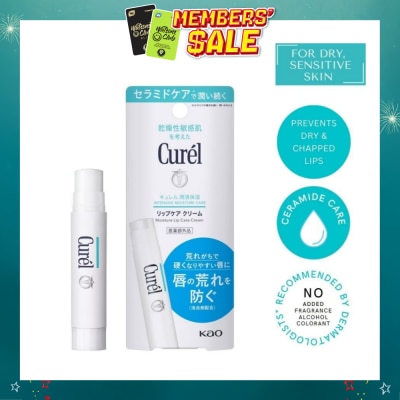 CUREL - Moisture Lip Care Cream 4.2g