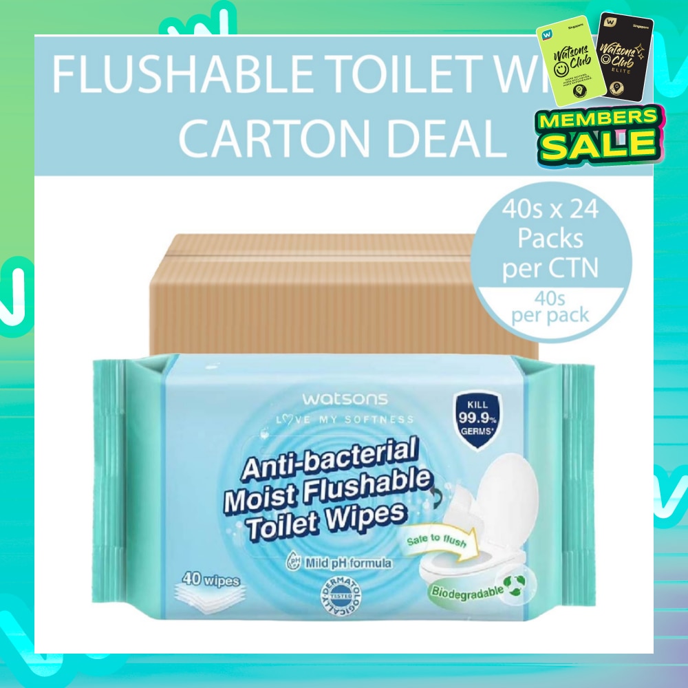 Antibacterial Moist Flushable Toilet Wipes (Mild pH Formula, Dermatologically Tested, Biodegradable) 40s x 24 Packs (Per Carton)