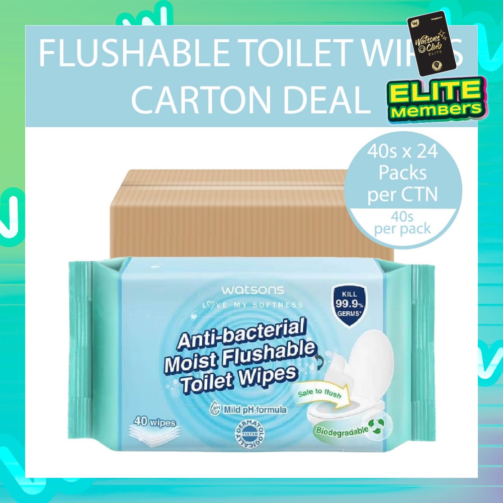 Antibacterial Moist Flushable Toilet Wipes (Mild pH Formula, Dermatologically Tested, Biodegradable) 40s x 24 Packs (Per Carton)