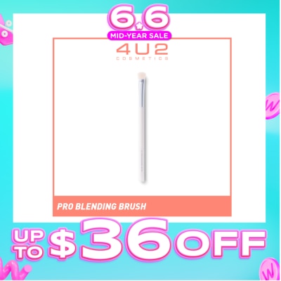4U2 - Tools Pro Blending Brush 1s