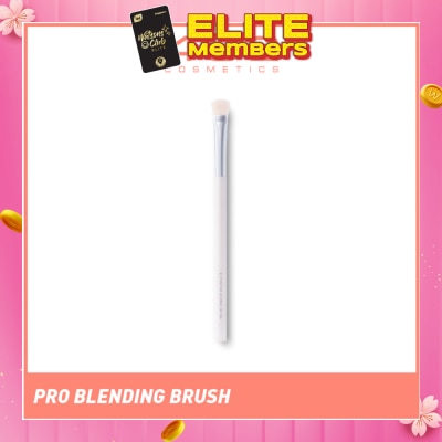 4U2 Tools Pro Blending Brush 1s