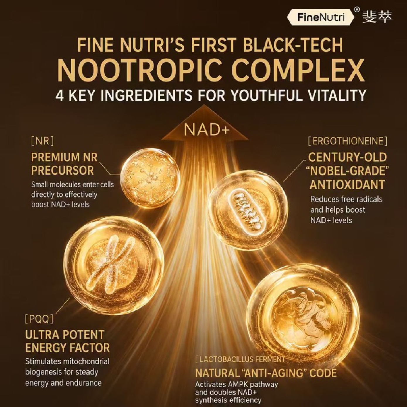 NAD+ Cellular Energy & Brain Support Capsule 90s image
