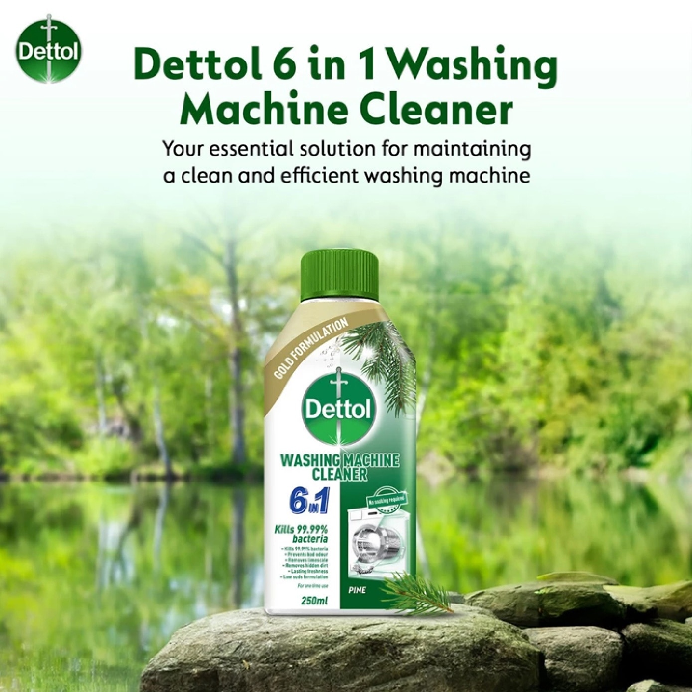 Pine Scented 6-in-1 Washing Machine Cleaner 250ml image
