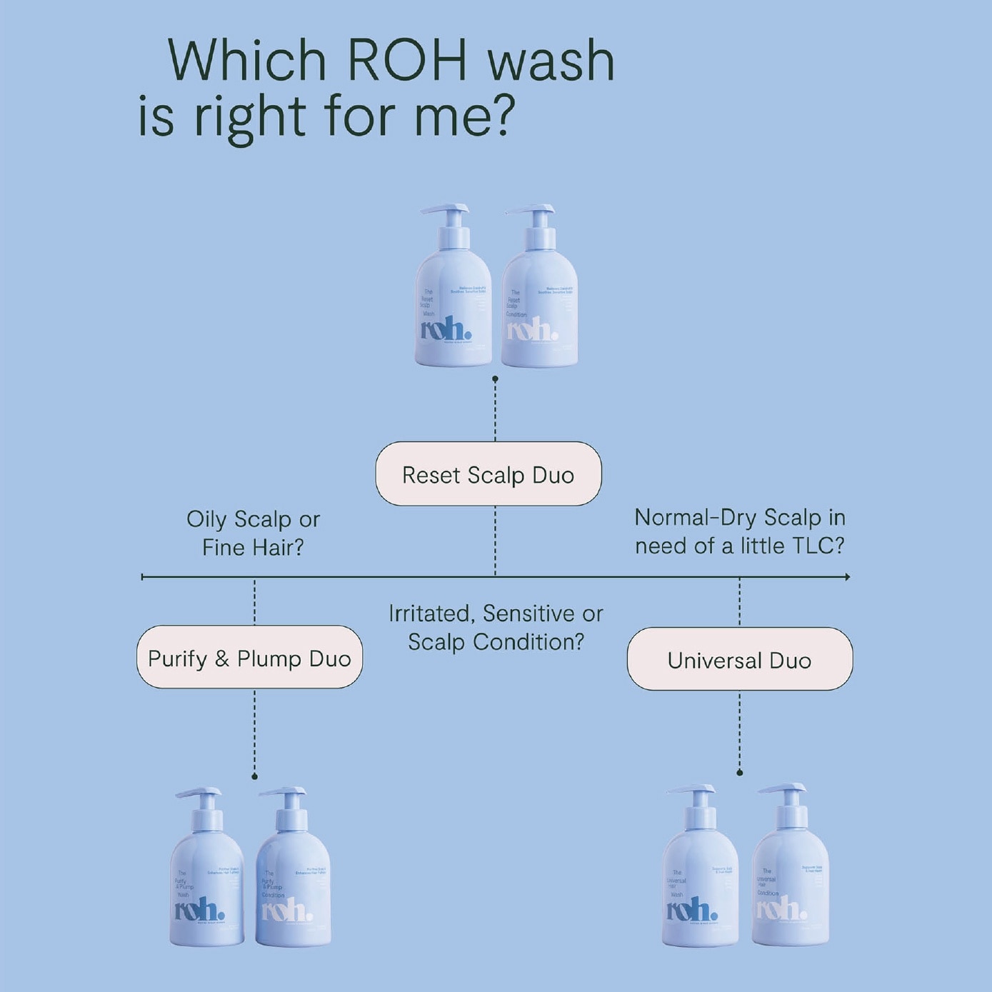 The Purify & Plump Hair Wash 350ml image