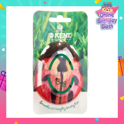 KENT BRUSHES Pbug The Pebble (Travel Hair Brush For Wet Or Dry Hair Ladybug) 1s