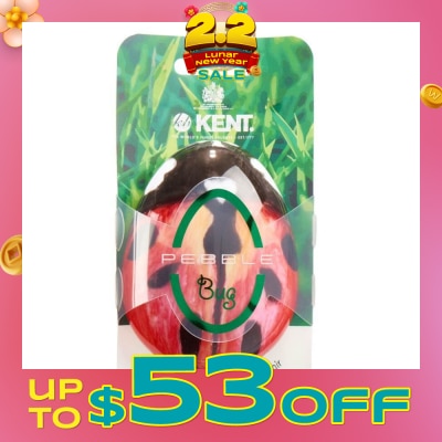 KENT BRUSHES Pbug The Pebble (Travel Hair Brush For Wet Or Dry Hair Ladybug) 1s