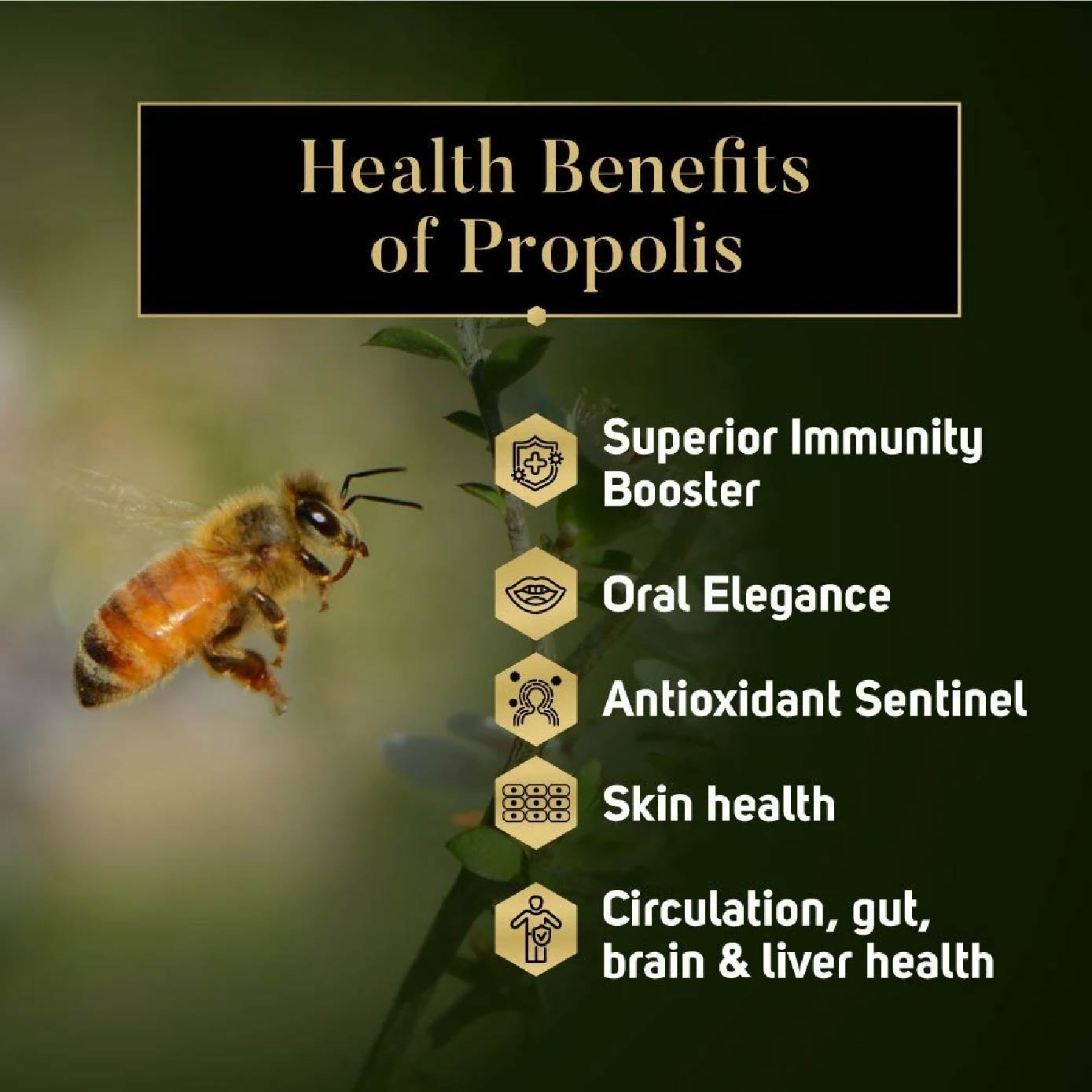 UMF 15+ Manuka Honey Oral Spray with Propolis Throat & Mouth Care 30ml
