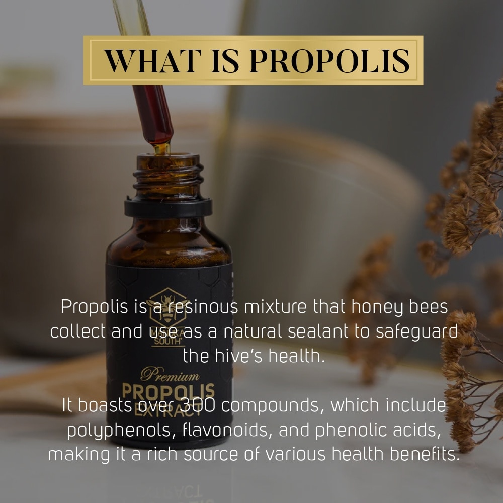 Propolis Extract (For Gum Health & Skin Healing) 25ml