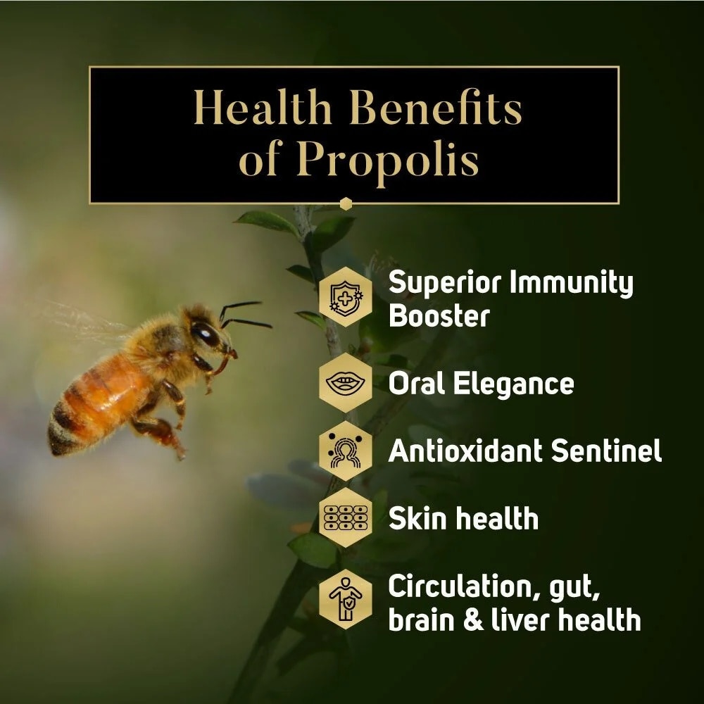 Propolis Extract (For Gum Health & Skin Healing) 25ml