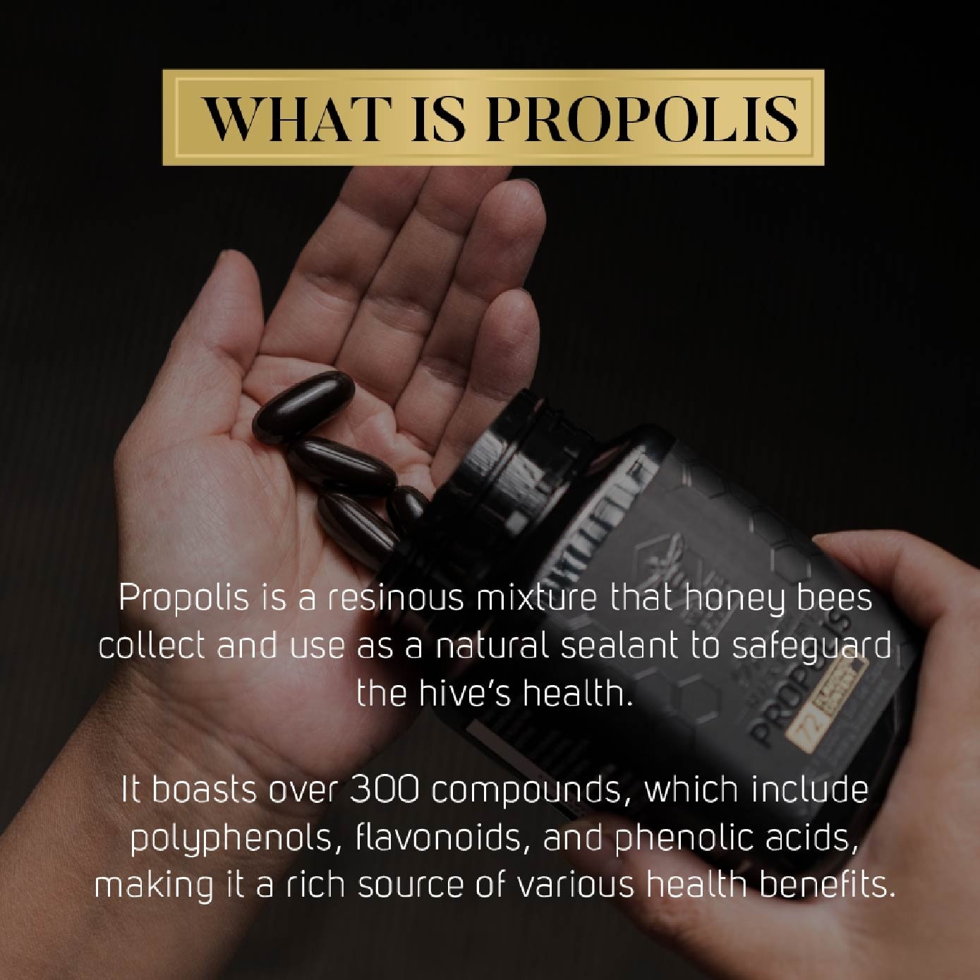 Black Reserve Propolis Capsule with Polyphenol Flavonoid Antioxidant for Immunity 120s