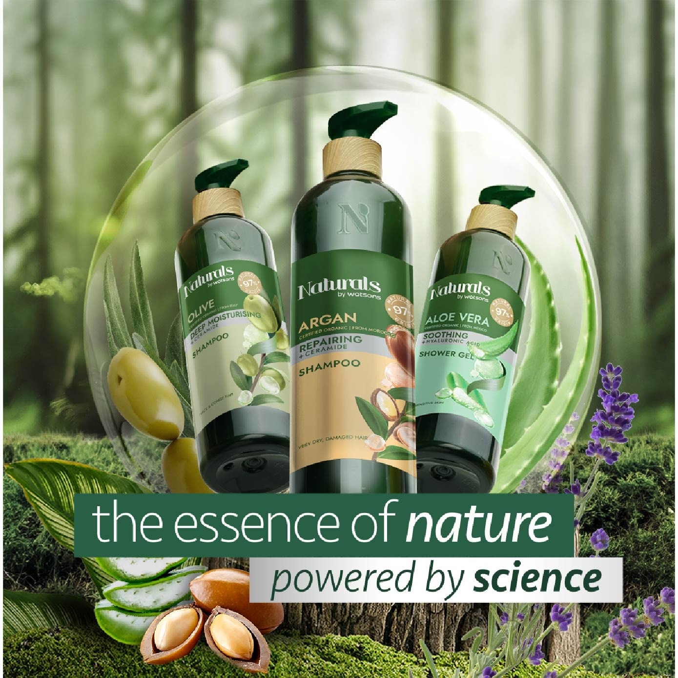 Olive + Ceramide Moisturising Shampoo Refill Pack 450ml