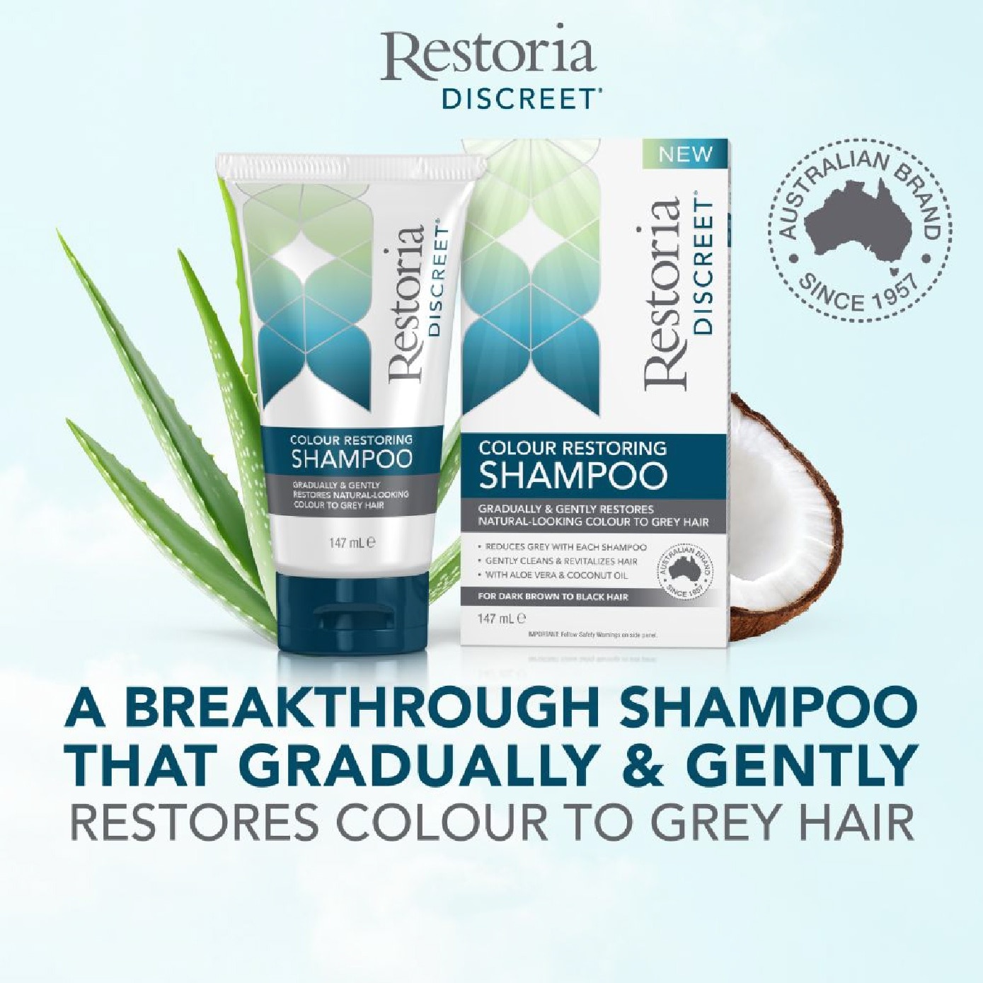 Discreet Colour Restoring Shampoo 147ml image