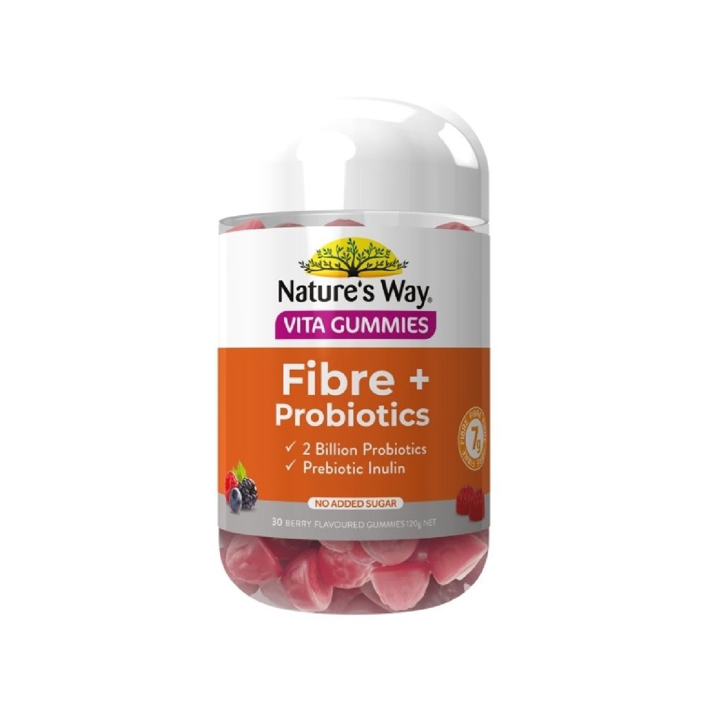 Fibre + Probiotics Vita Gummies 30s image