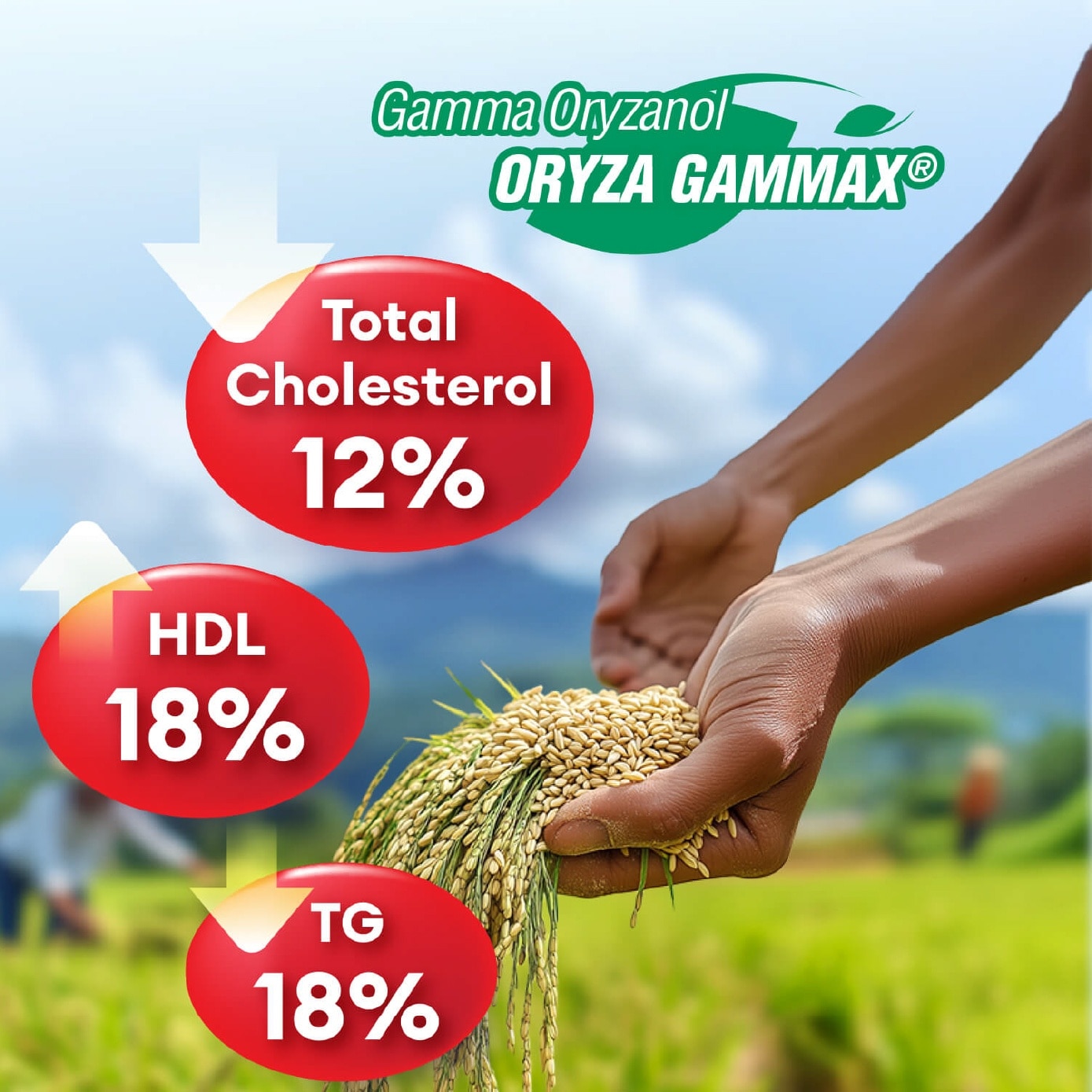 VesseClear CX Dietary Supplement Veggie Capsule (For Blood Pressure, Glucose & Cholesterol) 90s