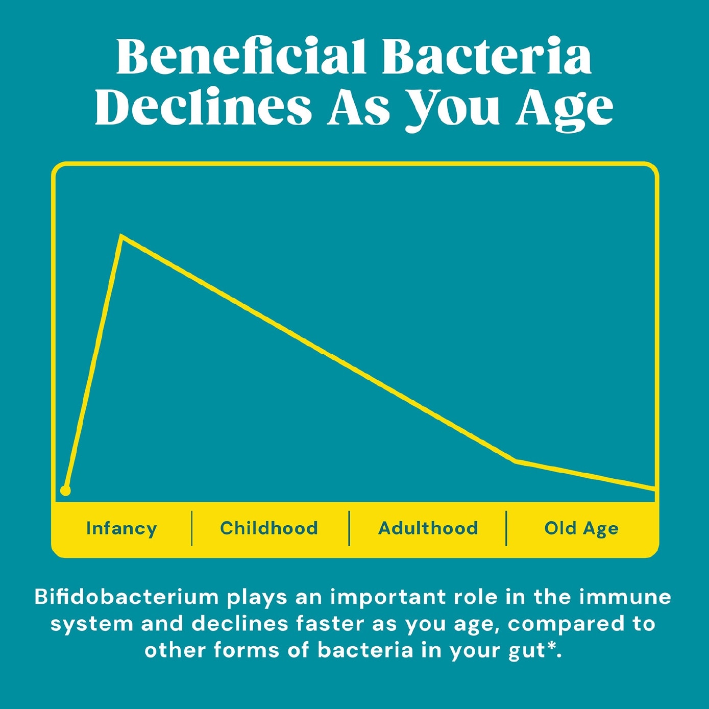 Gut Health Healthy Aging Probiotic 50+ 55B CFU Vegetarian Capsule 30s