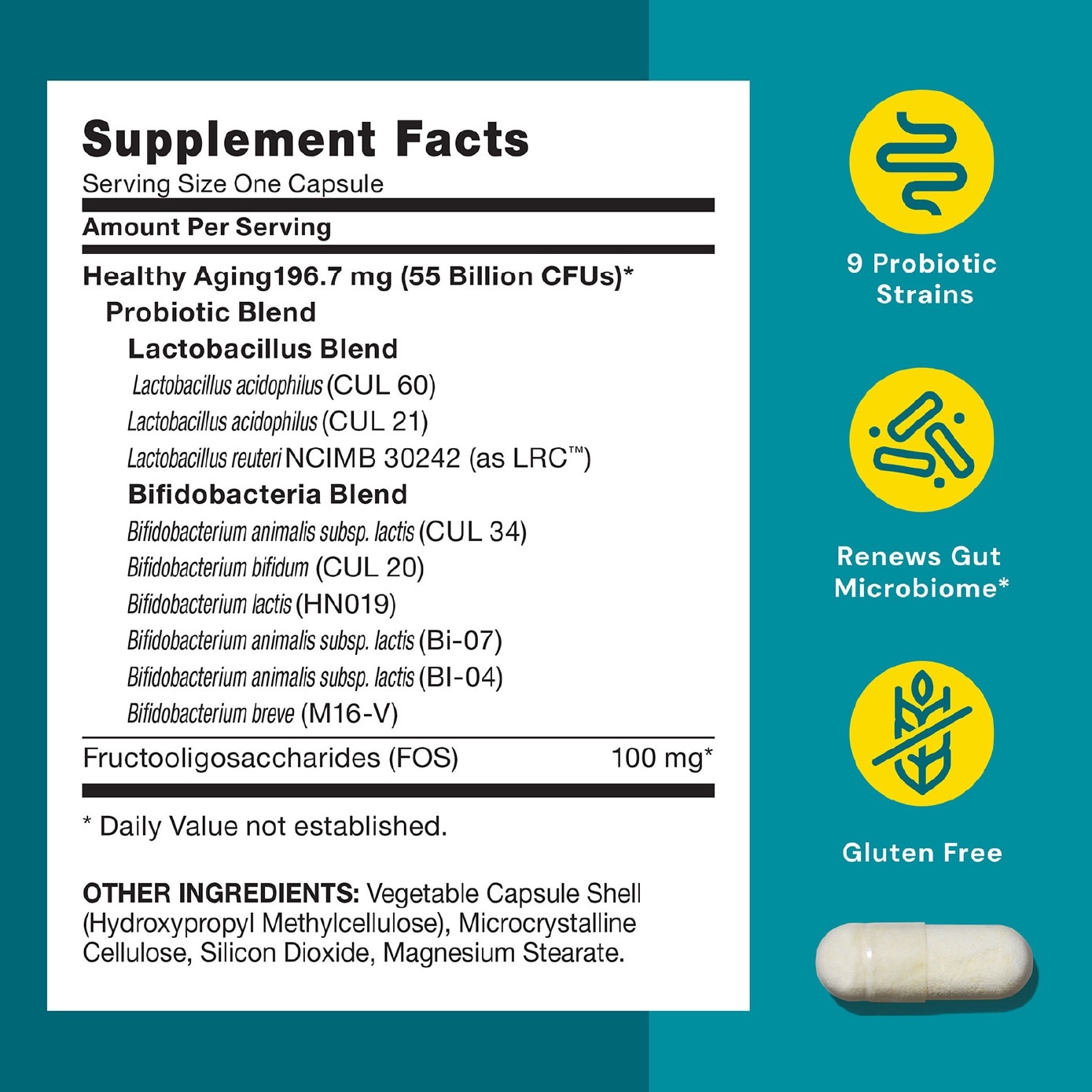 Gut Health Healthy Aging Probiotic 50+ 55B CFU Vegetarian Capsule 30s