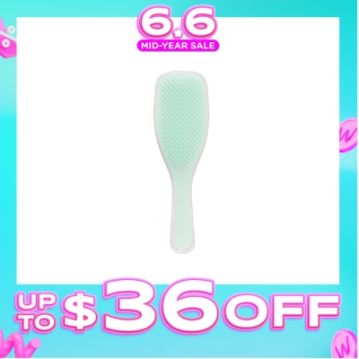 TANGLE TEEZER - Wet Detangler Pink Mint 1s