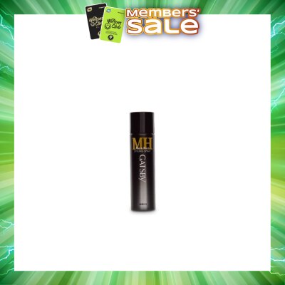 GATSBY - Styling Spray Mat And Hard 65ml