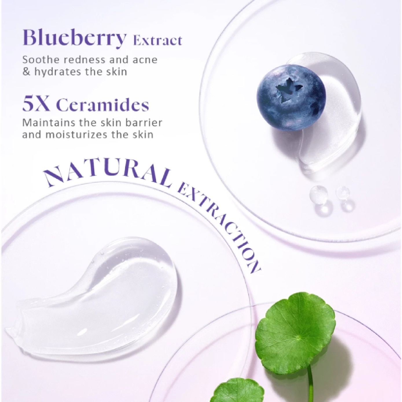 Blueberry Ceramide Low pH Gel Cleanser 70ml image