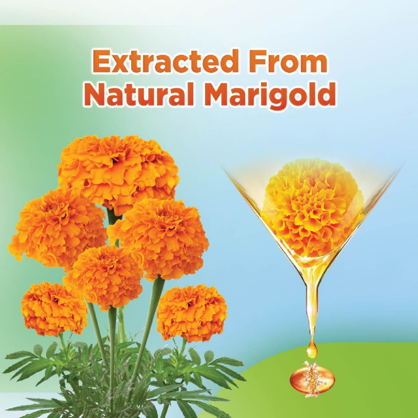 Lutein 20mg Capsule 60s