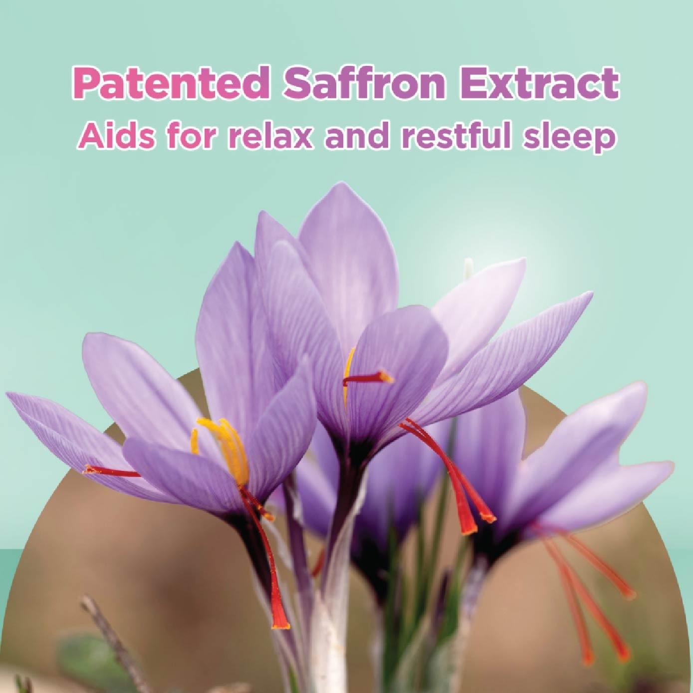 Calm & Rest Probiotics Capsule 60s (Expiry: Aug`2026)