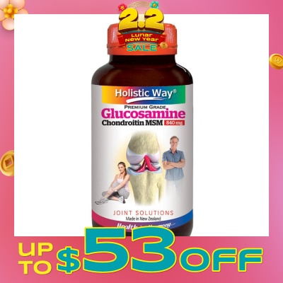 HOLISTIC WAY Glucosamine Chondroitin MSM 840mg 125 Vegetarian Capsules