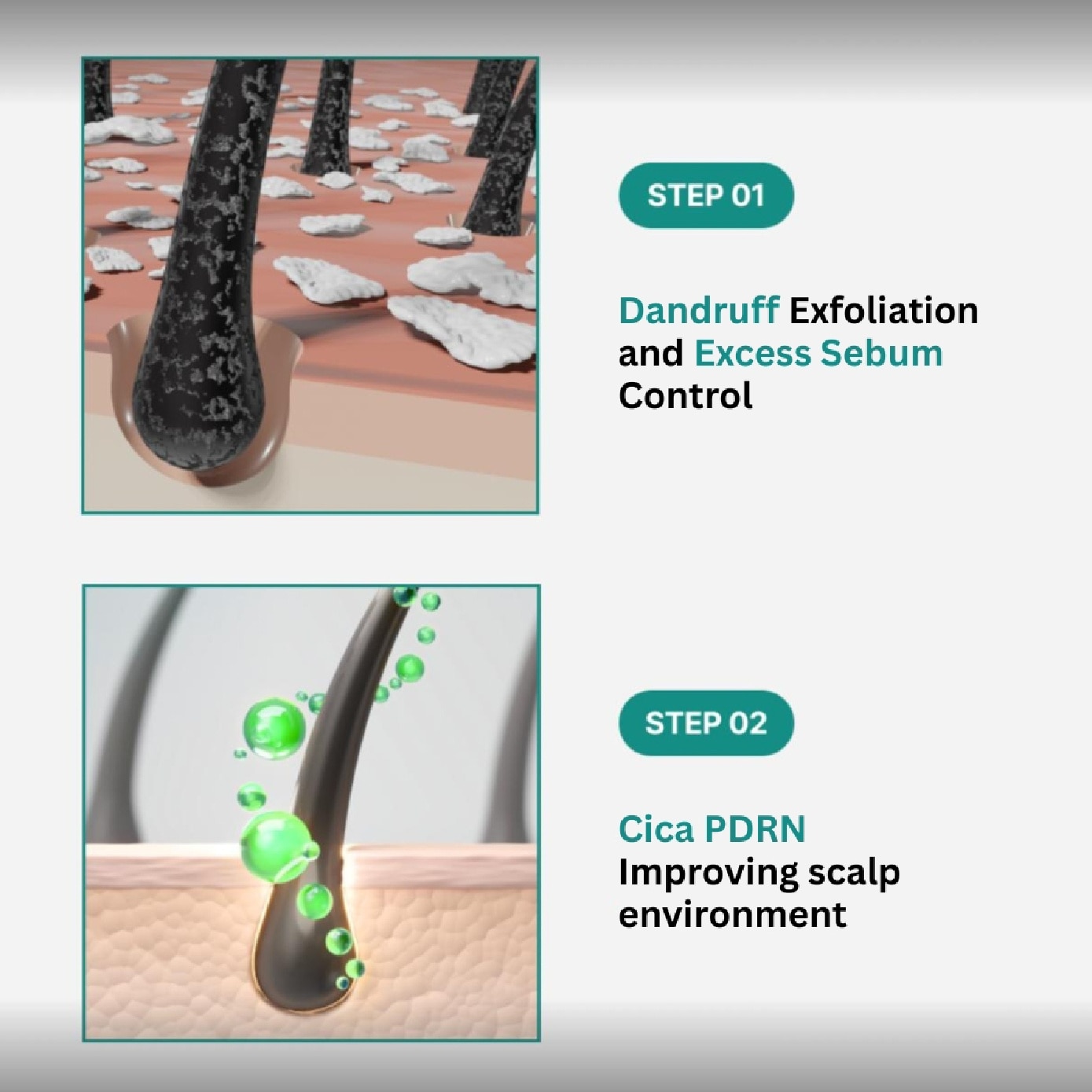 Scalp:Turn Cica PDRN Deep Clean Shampoo 500ml