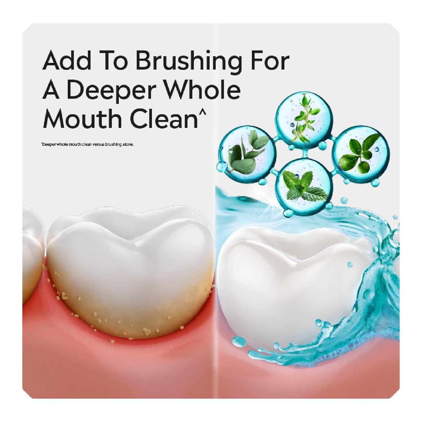 Mouthwash Cool Mint With 4 Essential Oils Bundle Set 1s image