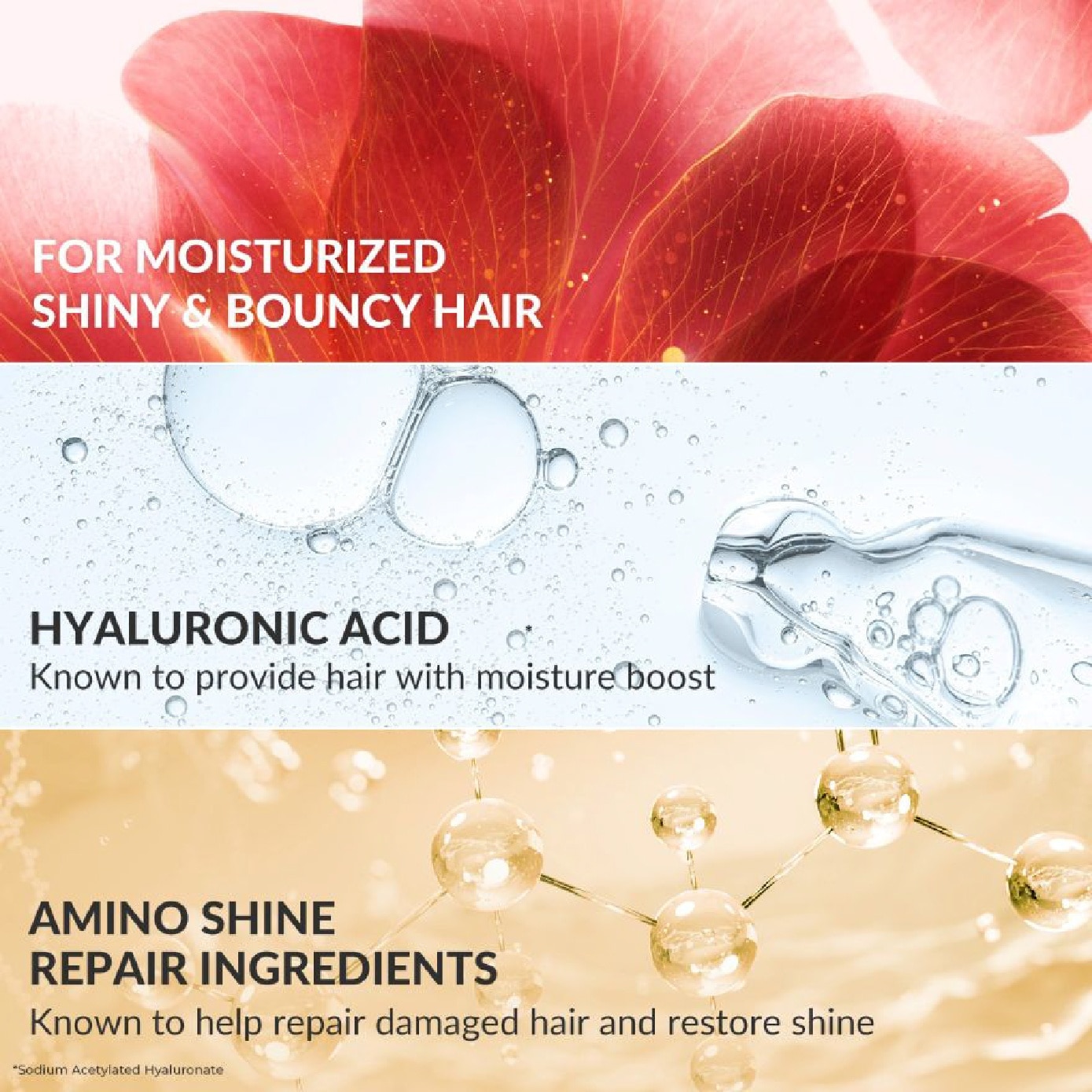 Premium Moist & Repair Treatment (72 Hours Moisture Retention, Instant Hydration & Improves Frizzy Hair) 160g