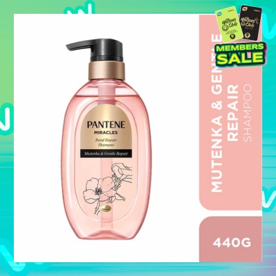 PANTENE Miracles Mutenka & Gentle Repair Shampoo (To Gently Repairs Hair For All-Day Moisture) 440g