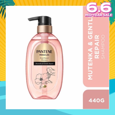 PANTENE Miracles Mutenka & Gentle Repair Shampoo (To Gently Repairs Hair For All-Day Moisture) 440g