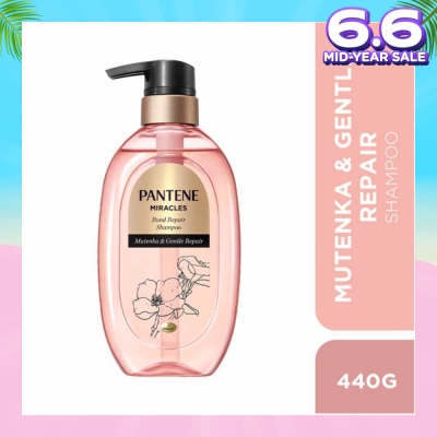 PANTENE Miracles Mutenka & Gentle Repair Shampoo (To Gently Repairs Hair For All-Day Moisture) 440g