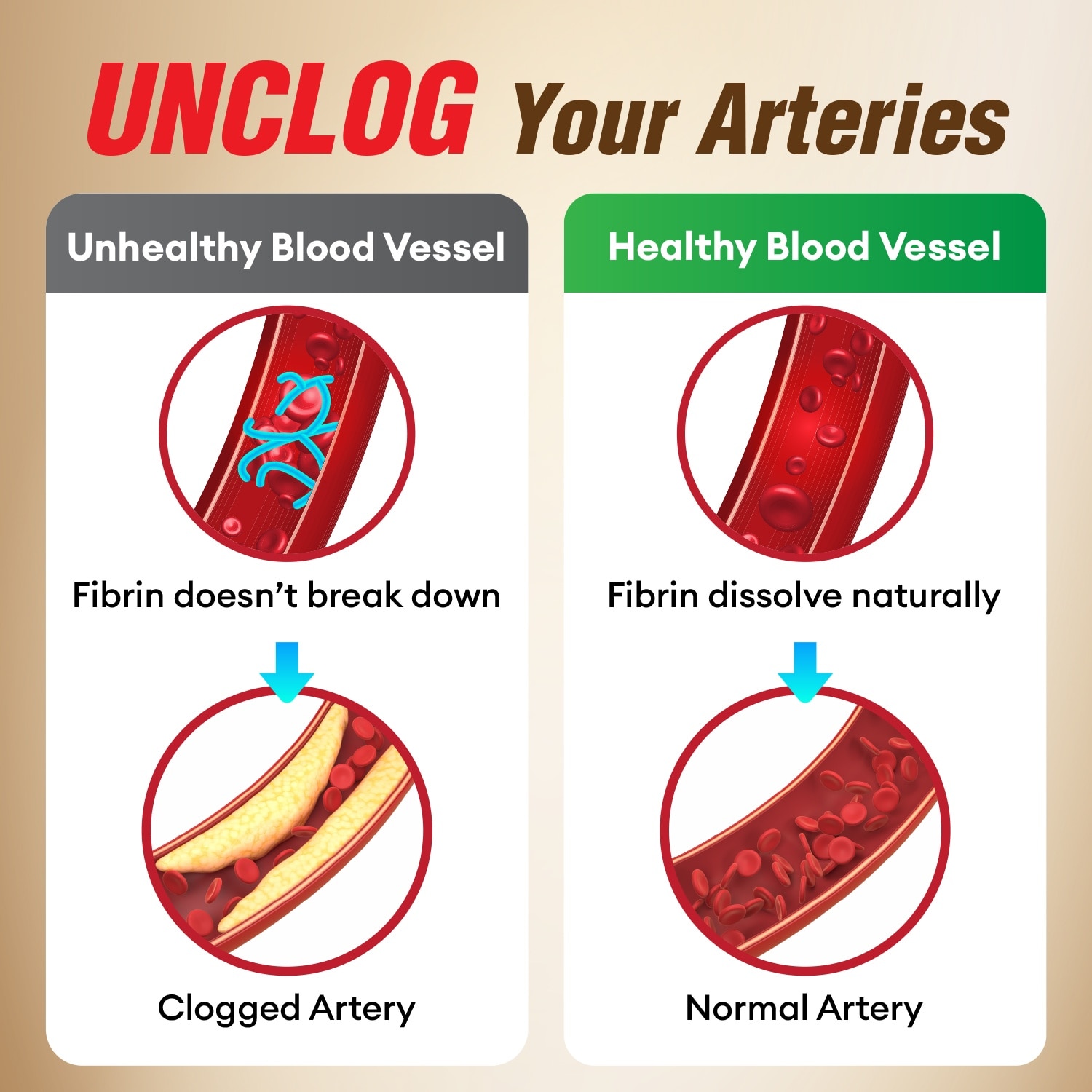 EX Dietary Supplement capsule (Nattokinase 2000FU + Elastin F for Clean & Flexible Blood Vessel, Healthy Blood Pressure, Circulation, and Heart) 30s
