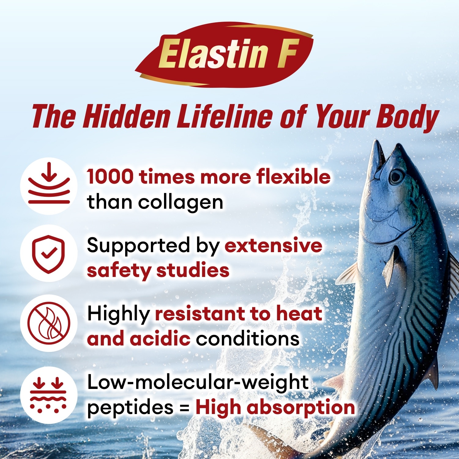 EX Dietary Supplement capsule (Nattokinase 2000FU + Elastin F for Clean & Flexible Blood Vessel, Healthy Blood Pressure, Circulation, and Heart) 30s