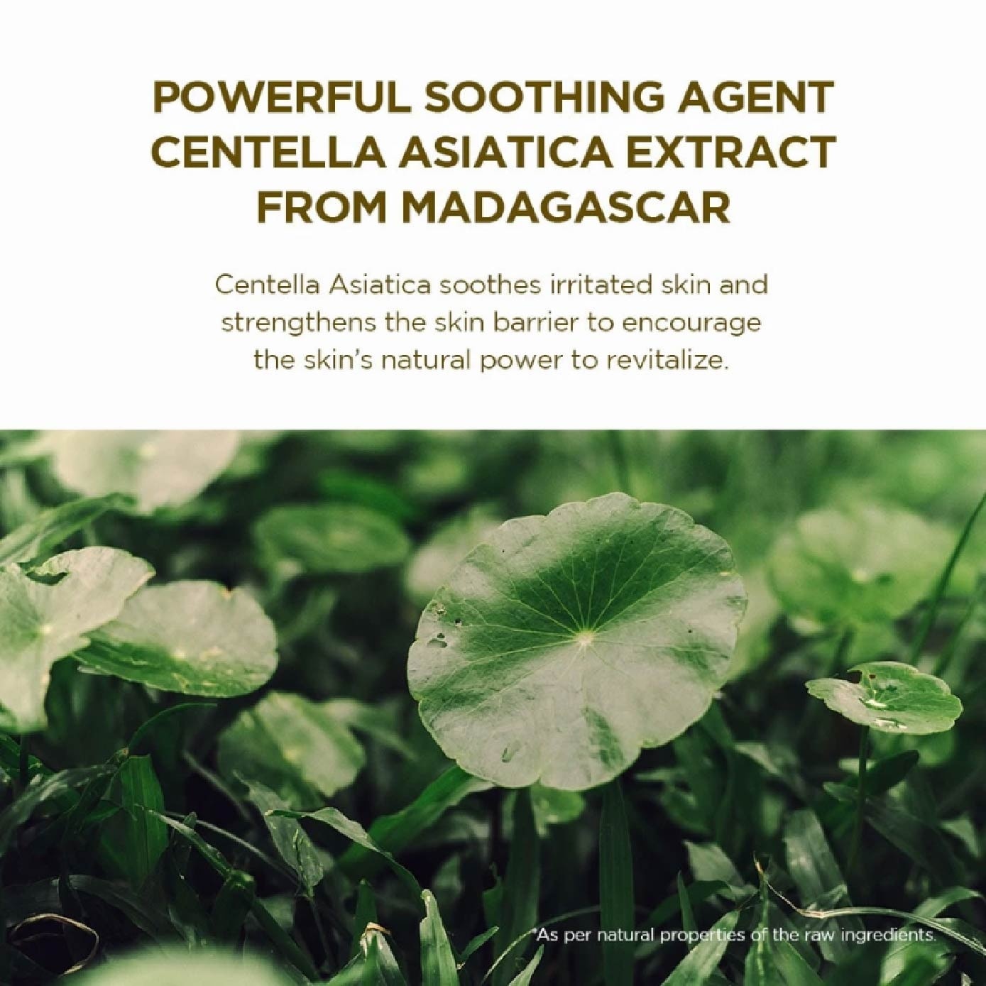 Madagascar Centella Watergel Ampoule Sheet Mask 1s