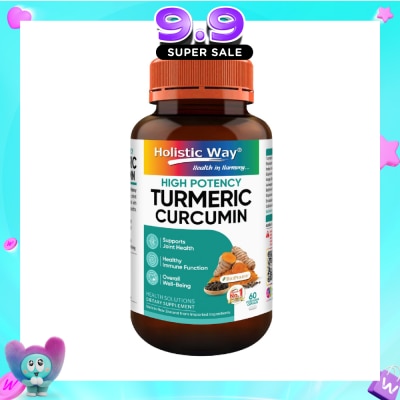 HOLISTIC WAY - High Potency Turmeric Curcumin 60S image